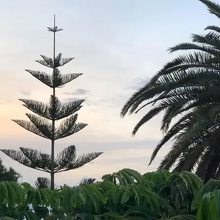 Βίλα Mare Bella Chao Sea View Private Heated Solar Pool Ac Πουέρτο Ντελ Κάρμεν