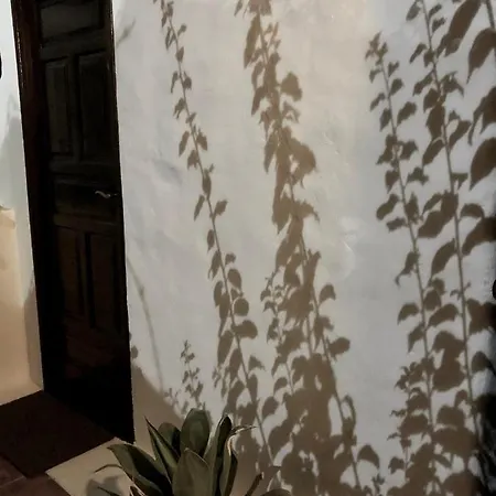 Mare Bella Chao Sea View Private Heated Solar Pool Ac וילה פוארטו דל כרמן