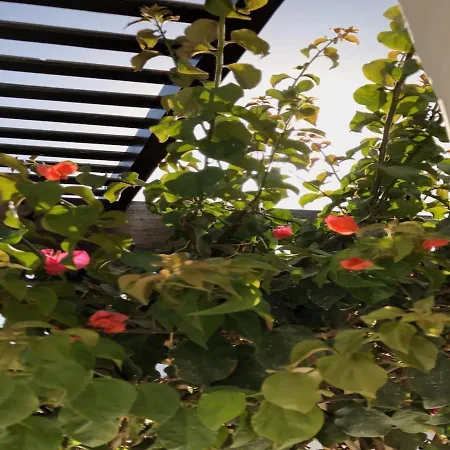 Mare Bella Chao Sea View Private Heated Solar Pool Ac