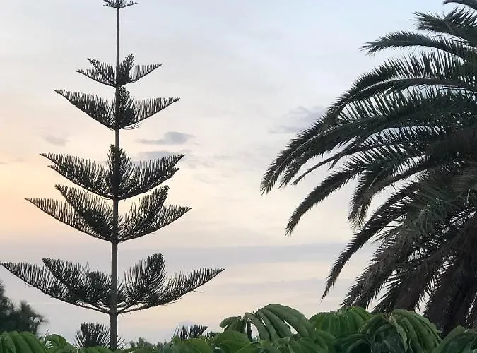 فيلة Mare Bella Chao Sea View Private Heated Solar Pool Ac بويرتو ذيل كارمين